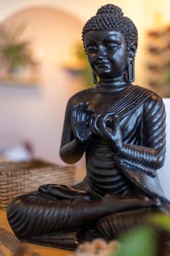 accueil studio bouddha